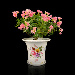 antique planter with a flowerpot on a black isolated background