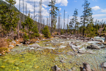 Stream in High Tatras mountains © Rui Vale de Sousa