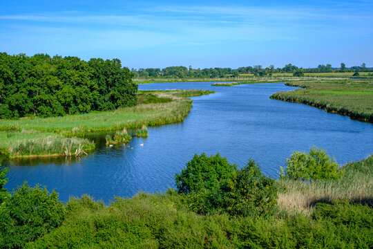River landscape of the meandering Peene river in the Peene valley near Randow, Hanseatic Town of Demmin, Mecklenburg-Western Pomerania, Germany, Europe.
