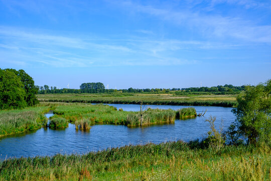 River landscape of the meandering Peene river in the Peene valley near Randow, Hanseatic Town of Demmin, Mecklenburg-Western Pomerania, Germany, Europe.