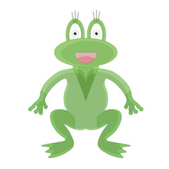 Green frog on a white background