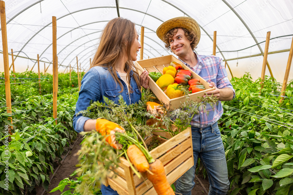 Wall mural cheerful couple of vegetable growers in a hothouse