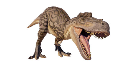 Albertosaurus PNG. Dinosaur Albertosaurus on a blank PNG high resolution background.