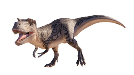 Obraz premium Albertosaurus PNG. Dinosaur Albertosaurus on a blank PNG high resolution background.