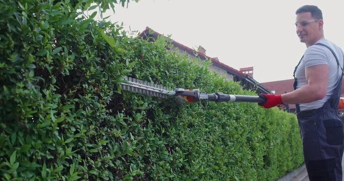 Professional male gardener in uniform cutting bushes with petrol hedge trimmer. Caucasian man removing overgrown leaves and branches at garden.