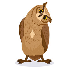Cartoon owl bird. Cute brown bird, woods wildlife feathered owl, forest wild predator bird flat vector illustration on white background
