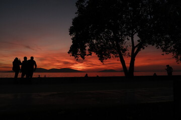 Fototapeta premium sunset at the beach