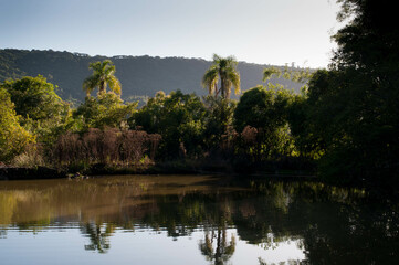 Photograph of lake at dawn in summer