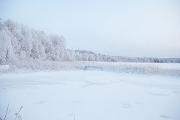 Winter beautiful landscape with field and forest covered with white fluffy snow, selective focus