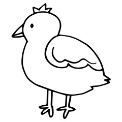 Bird, chicken cute cartoon hand drawn vector doodle illustration. Isolated on white background. Easy to change color. Funny easter bird. Little chick. Easter holiday design element, art. Cute animals