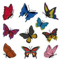Collection of vector colorful cartoon butterflies. Illustration of flying beautiful butterflies