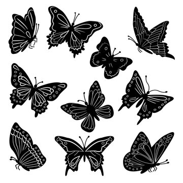 Silhouette of vector black butterflies on a white background. Butterflies icon