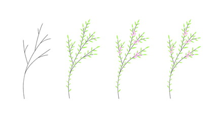 A hand-drawn illustration of a sakura branch in spring. A bare tree branch, a branch with green leaves and pink flowers.