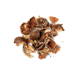Chestnut Husks Isolated, Edible Sweet Chestnuts Shells, Bio Garbage for Compost, Organic Waste Ingredient