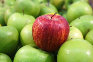 Red fresh apple beetwen the green apple close-up in the supermarket