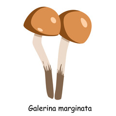 A flat vector of a poisonous toadstool mushroom isolated on a white background.