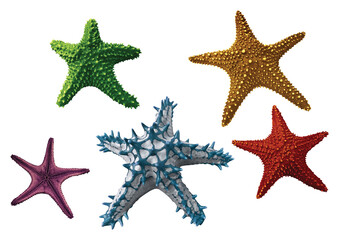 Collection of various Star fish with transparent background