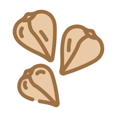 buckwheat grain healthy color icon vector. buckwheat grain healthy sign. isolated symbol illustration