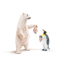 ours blanc, manchot empereur, frigide, pagre, poisson à la main, neige, pêcher, montrant, faune, illustration, arctique, hiver, blanc, glace, animal, nature