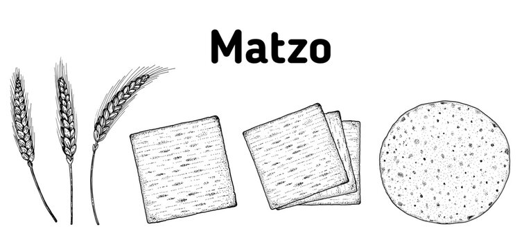 Matzo cooking and ingredients for matzo illustration. Middle eastern cuisine. Traditional passover food, design elements. Hand drawn, menu and package design. Jewish food.