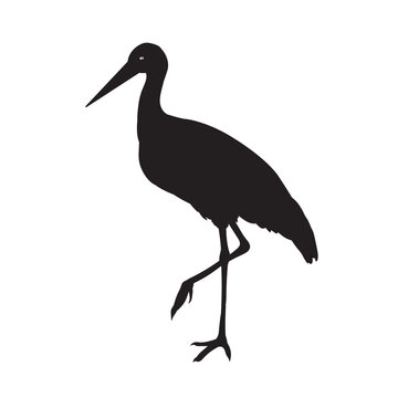 Crane stork vector animal black silhouette.