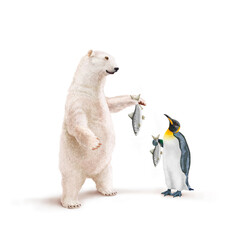 ours blanc, manchot empereur, frigide, alose, poisson à la main, neige, pêcher, montrant, faune, illustration, arctique, hiver, blanc, glace, animal, nature