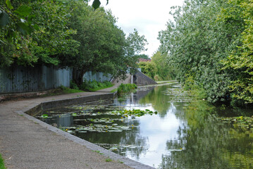 Fototapeta na wymiar Deserted Towpath beside Lily Covered Reflective Waters of Overgrown Industrial Canal