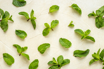 Herbs pattern with green mint leaves, top view