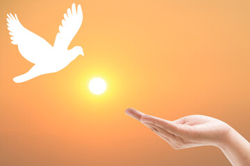 Hand praying and birds free enjoying nature on sunset background hope and freedom concept