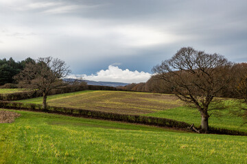 A winter view over Sussex farmland