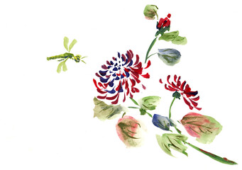 Chrysanthemum flower and dragonfly on a white background, made in Chinese technique go-hua. Hand drawn watercolor with paper texture. Bitmap image