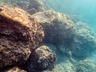 Fondale marino Calamosche