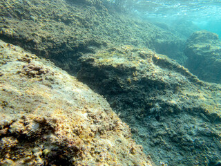 Fondale marino Calamosche