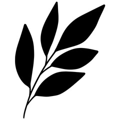 Obraz premium Hand drawn vector illustration of branch with leaves. Single botanical element in black.