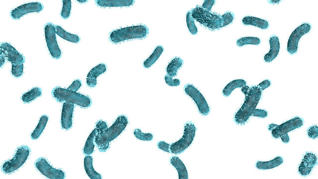 Bacteria are falling on a transparent png background. 3D render. Scientific concept.