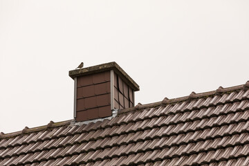 roof with chimney - 556973080