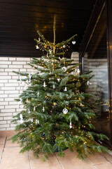 decorated christmas tree - 556973669