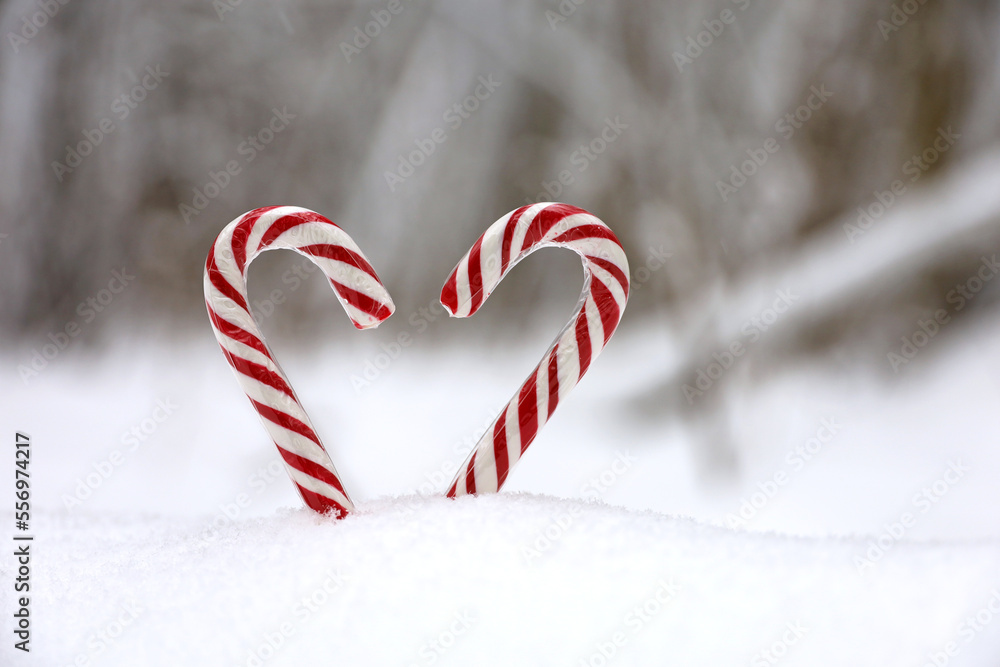 Wall mural Two candy canes on the snow in winter forest. Background for New Year celebration, Christmas sweets