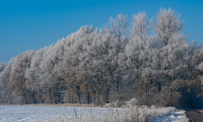 Schneelandschaft oder Winterlandschaft, Schnee und Eis bedeckte Bäume bei einem Ackerland an einem...