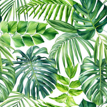 Palm leaves, tropical background, hand drawn watercolor botanical painting. Seamless pattern, jungle wallpaper
