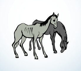 Starving skinny horse. Vector drawing