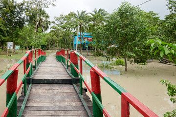 Wooden bridge in the Sundarbans Mangrove Forest