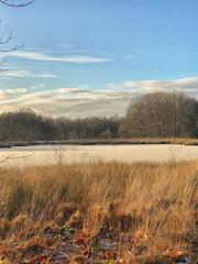 Frozen pond in heath