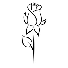 Obraz premium Blossom flower with leaves on branch. Black outline isolated on white. Botany illustration. Garden flower. Graphical flower illustration. Bloom flower, decorative flower, isolate flower,