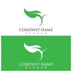 leaf ecology  icon vector illustration template design