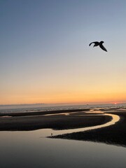 sunset on the sea