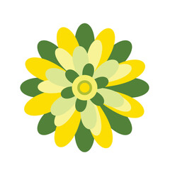 yellow flower on white background very suitable for additional elements