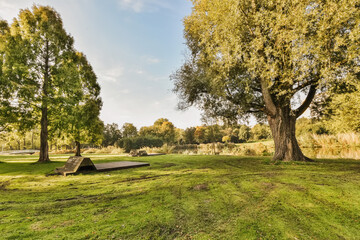 an empty park with trees and benches in the fore - image was taken on a sunny autumn day stock photo