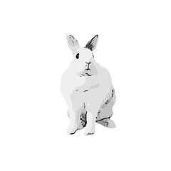 Fototapeta na wymiar black and white drawing sketch of a rabbit with a transparent background