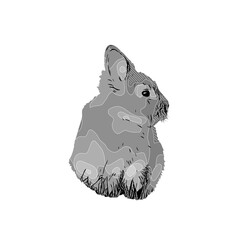 black and white drawing sketch of a rabbit with a transparent background